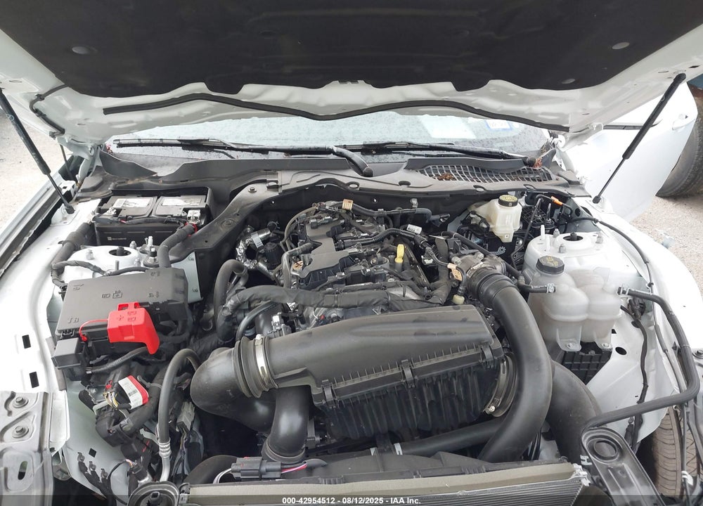 2024 FORD MUSTANG VIN: 1FA6P8TH1R5143518