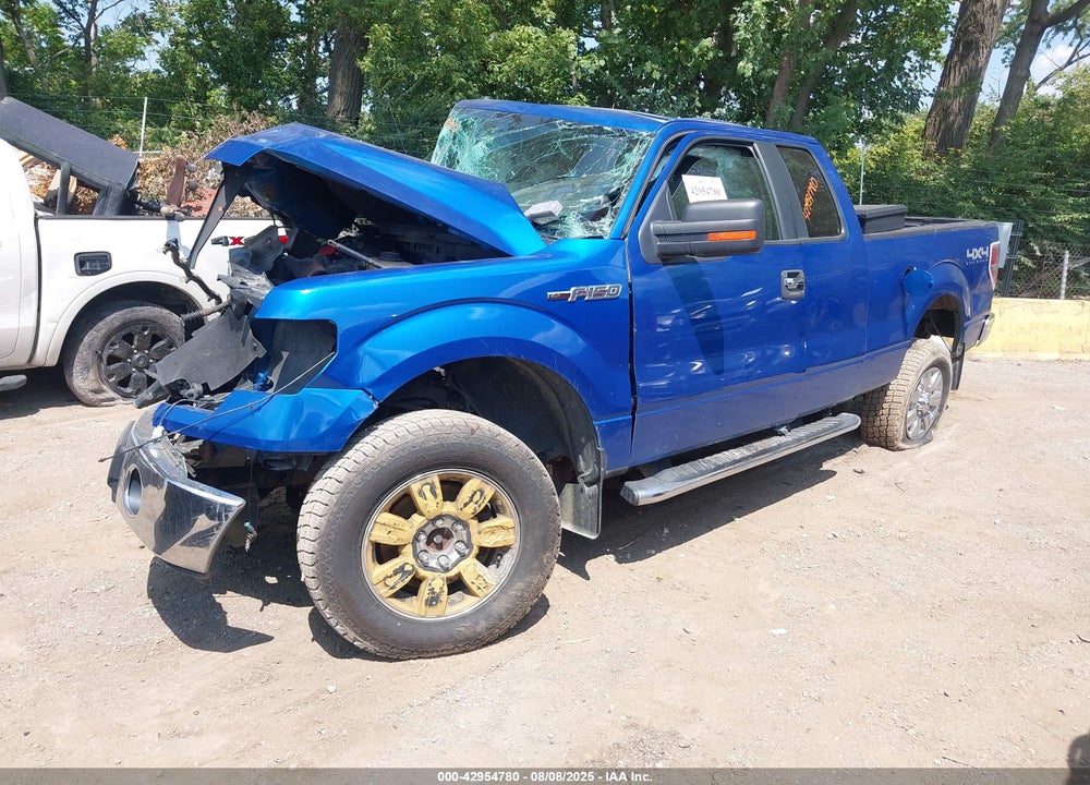 2012 FORD F-150 VIN: 1FTFX1EF3CFA52295
