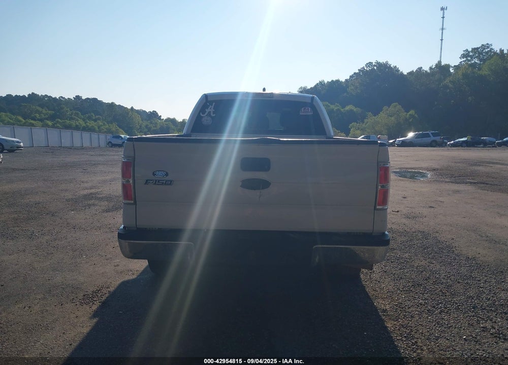 2012 FORD F-150 VIN: 1FTFX1ET9CFA60777