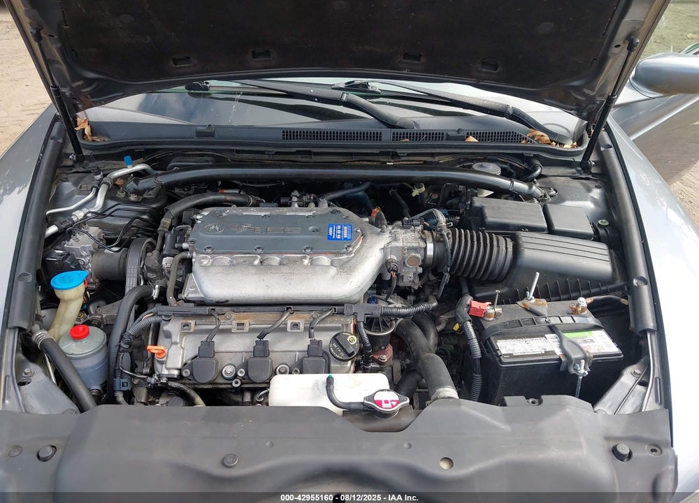 2006 ACURA TL VIN: 19UUA66276A006974