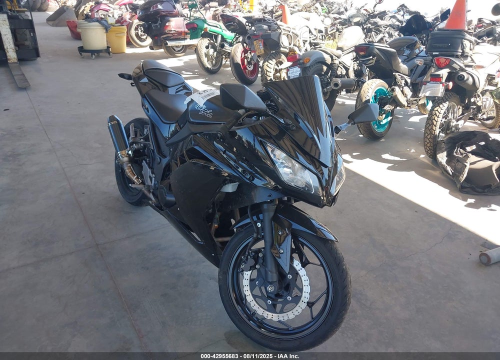 2016 KAWASAKI EX300 A VIN: JKAEX8A13GDA28561