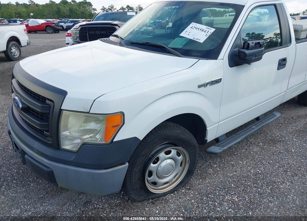 2013 FORD F-150 XL VIN: 1FTNF1CF5DKE52790