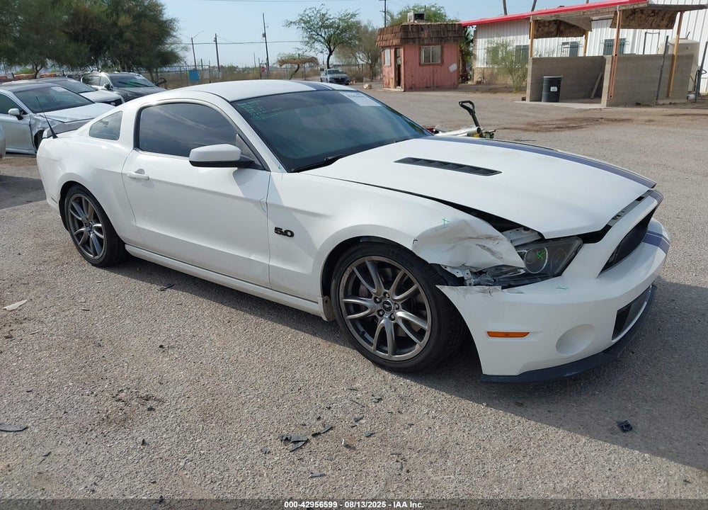 2013 FORD MUSTANG GT VIN: 1ZVBP8CF2D5229174