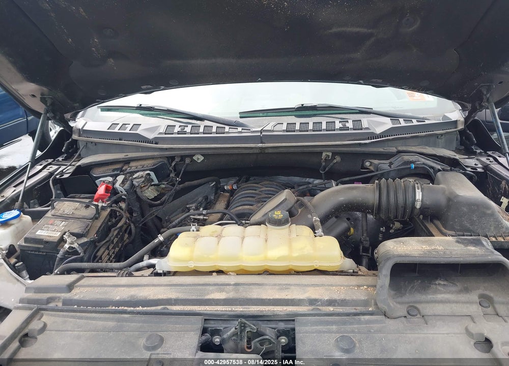 2019 FORD F-150 VIN: 1FTEW1E58KFD30712