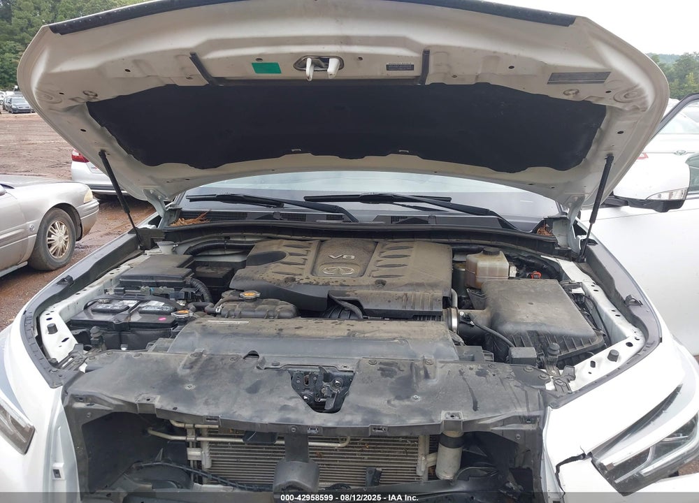 2018 INFINITI QX80 VIN: JN8AZ2NF4J9660319