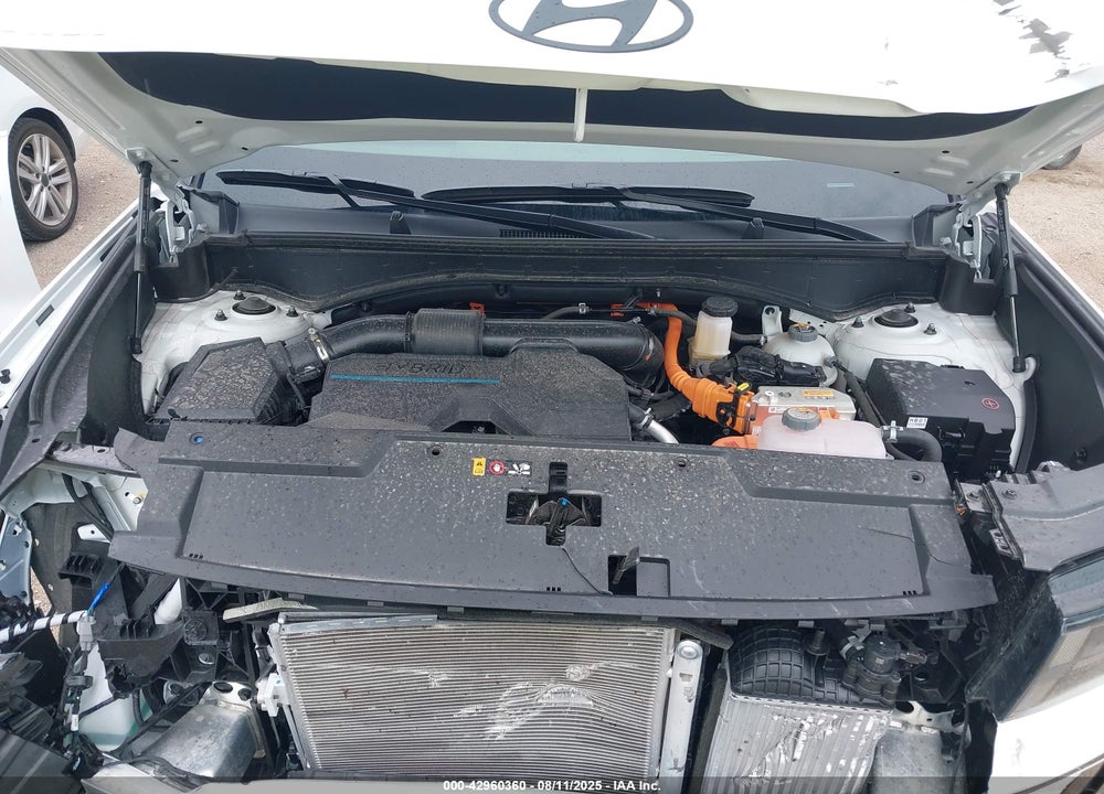 2025 HYUNDAI SANTA FE HYBRID VIN: 5NMP5DG1XSH031653