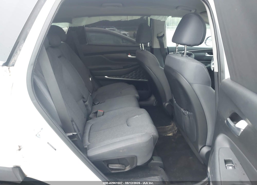 2020 HYUNDAI SANTA FE VIN: 5NMS3CAD4LH231913