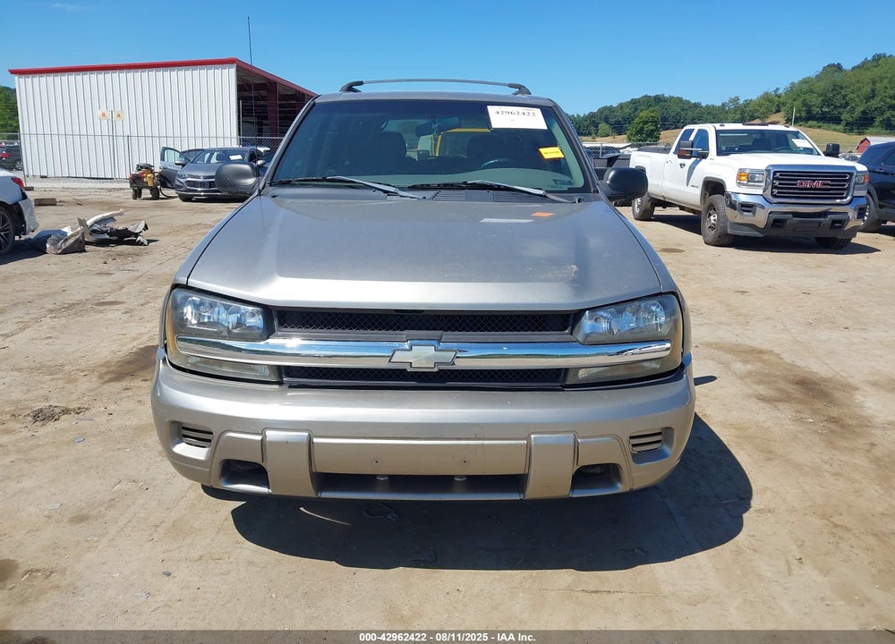 2002 CHEVROLET TRAILBLAZER LS VIN: 1GNDT13S422519305