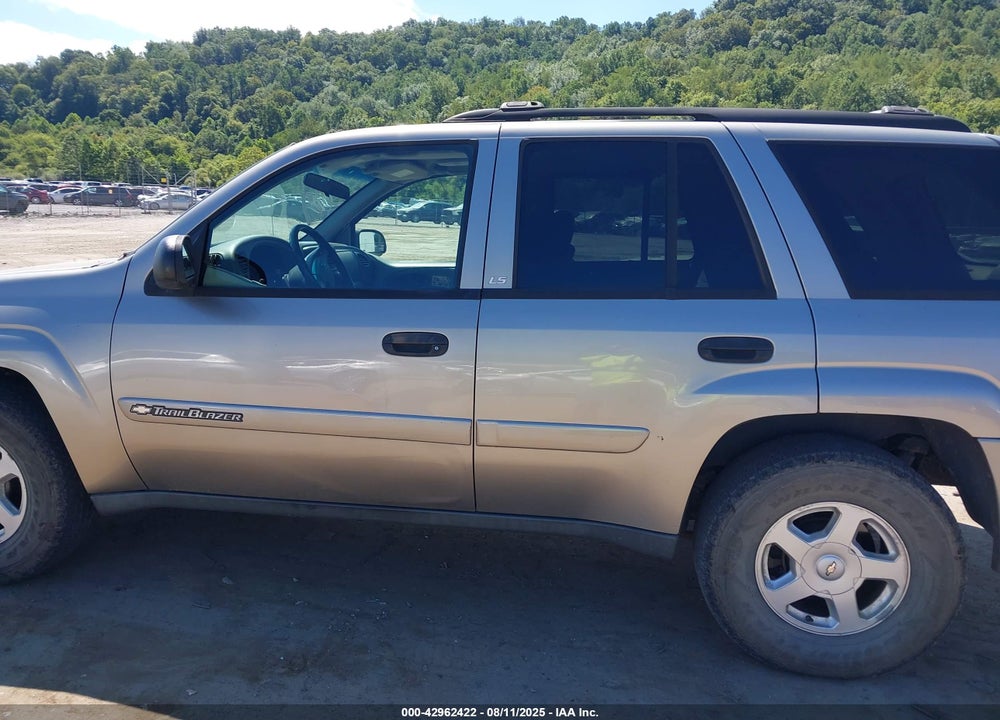 2002 CHEVROLET TRAILBLAZER LS VIN: 1GNDT13S422519305