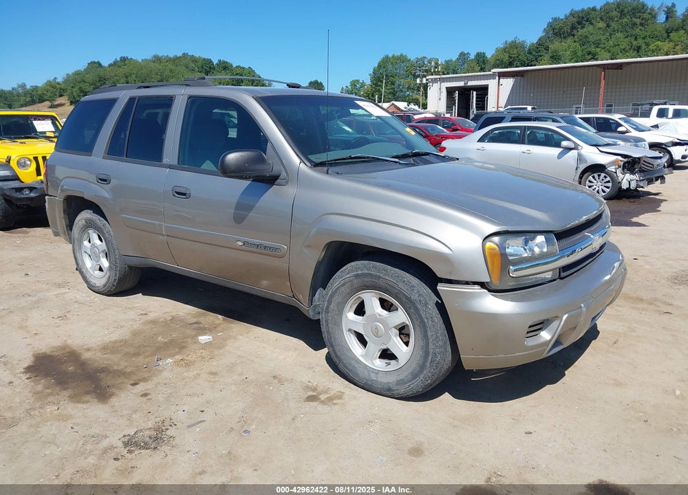 2002 CHEVROLET TRAILBLAZER LS VIN: 1GNDT13S422519305