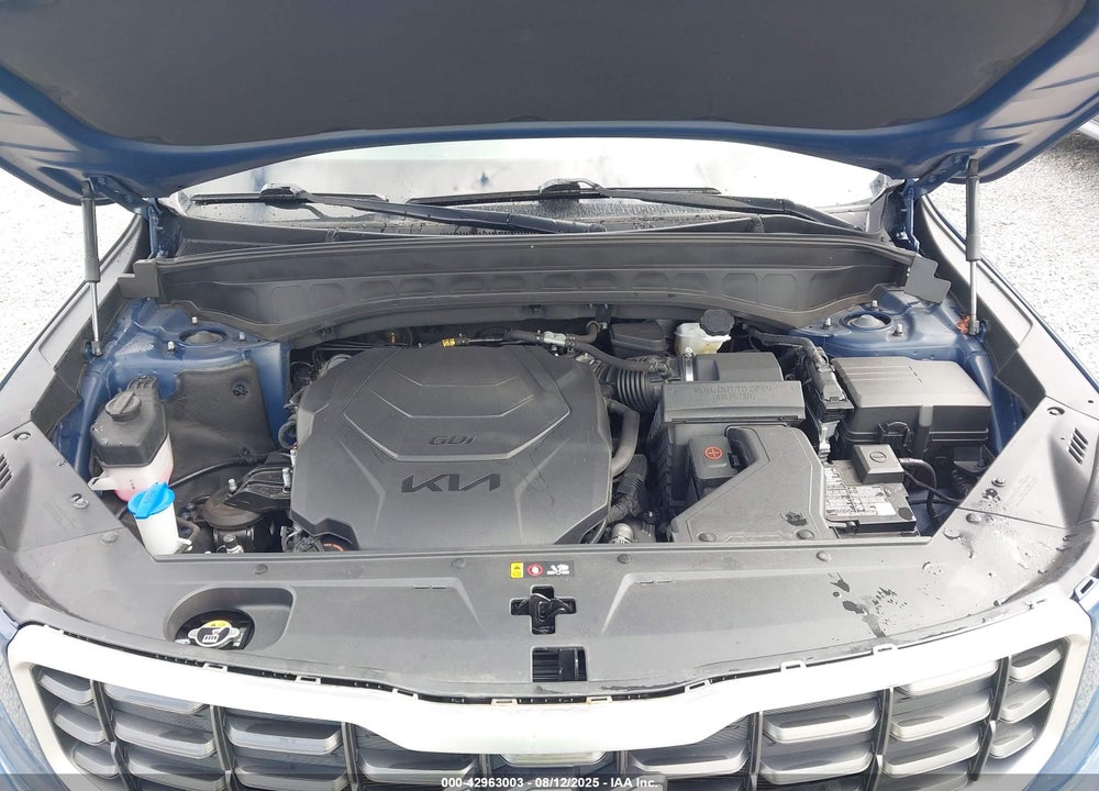 2023 KIA TELLURIDE S VIN: 5XYP6DGC2PG338640