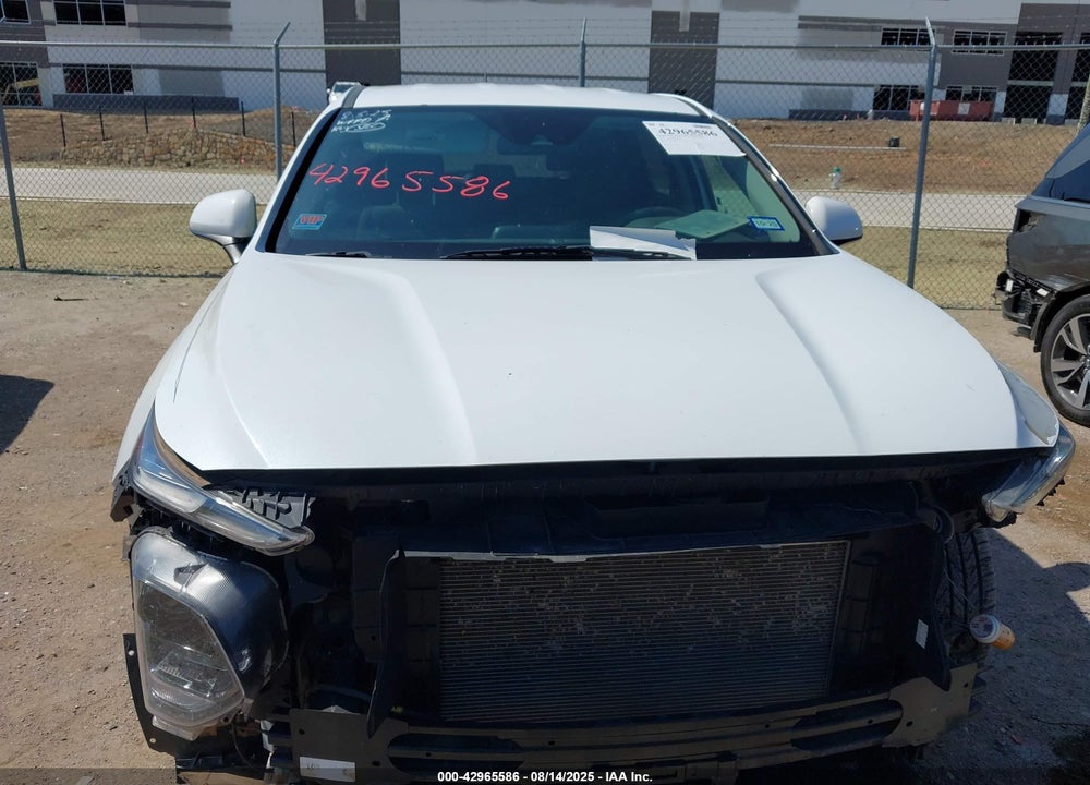 2019 HYUNDAI SANTA FE VIN: 5NMS23AD1KH002204