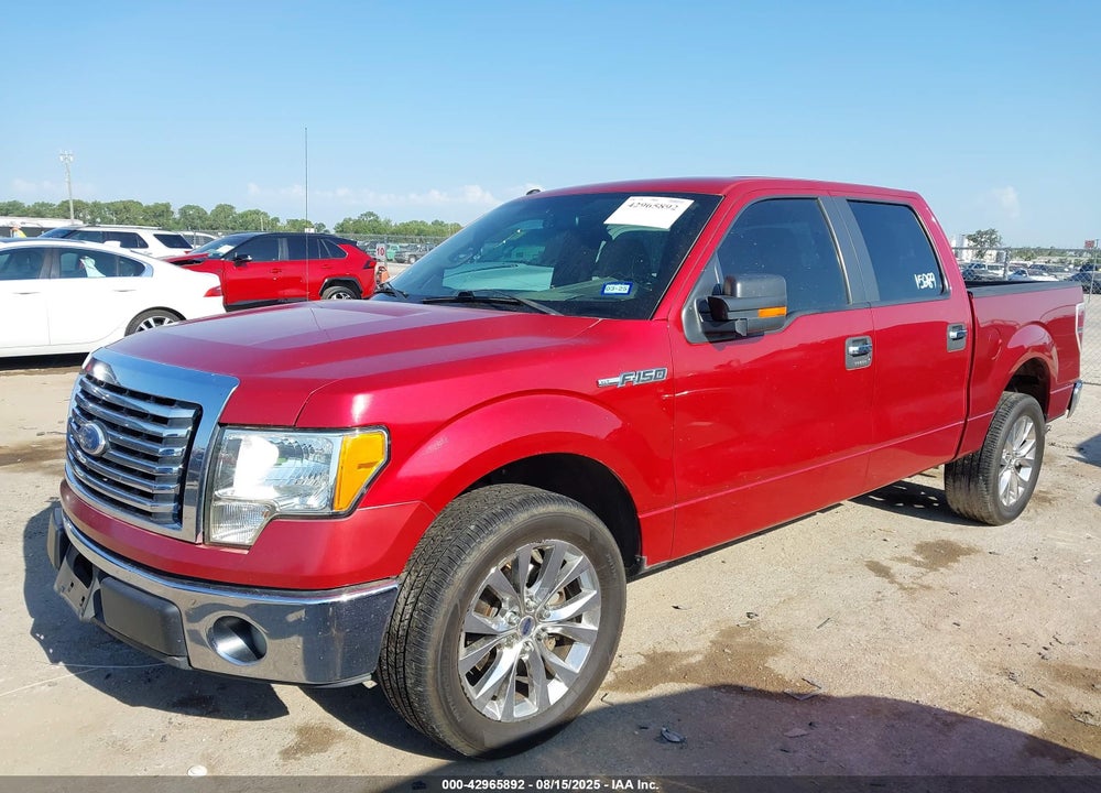 2010 FORD F-150 VIN: 1FTFW1CV4AFC49261