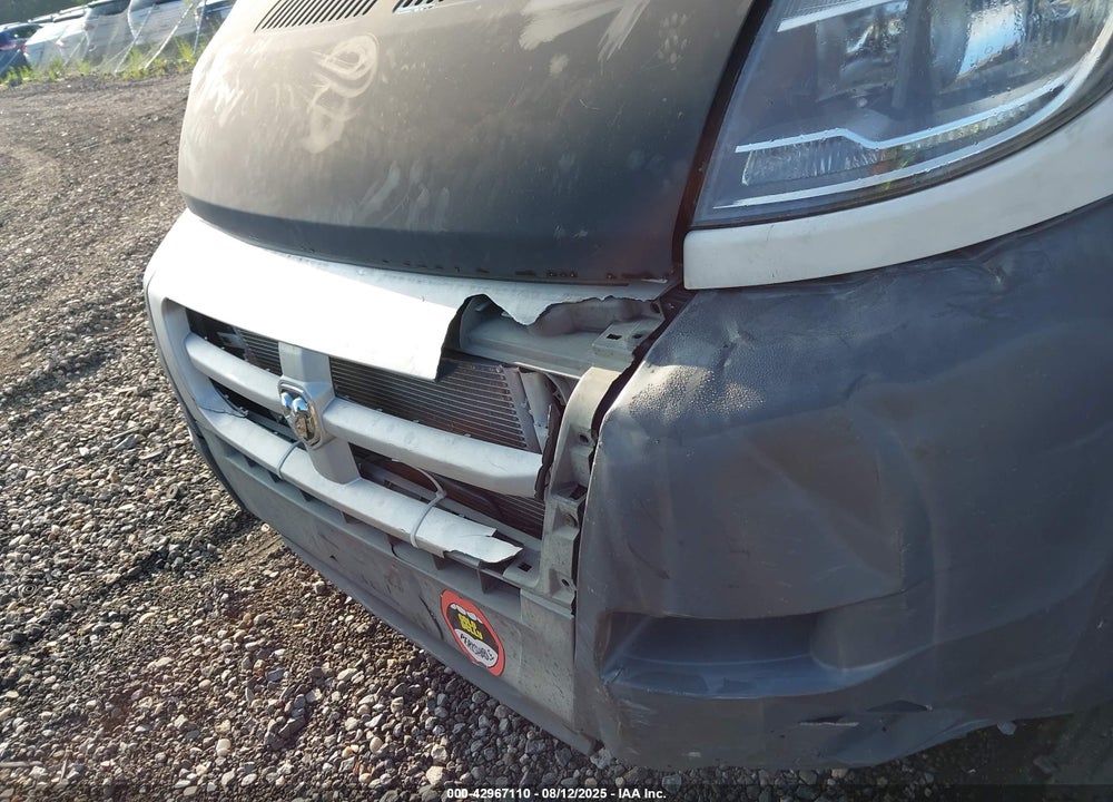 2014 RAM PROMASTER 1500 LOW ROOF VIN: 3C6TRVAG5EE116683