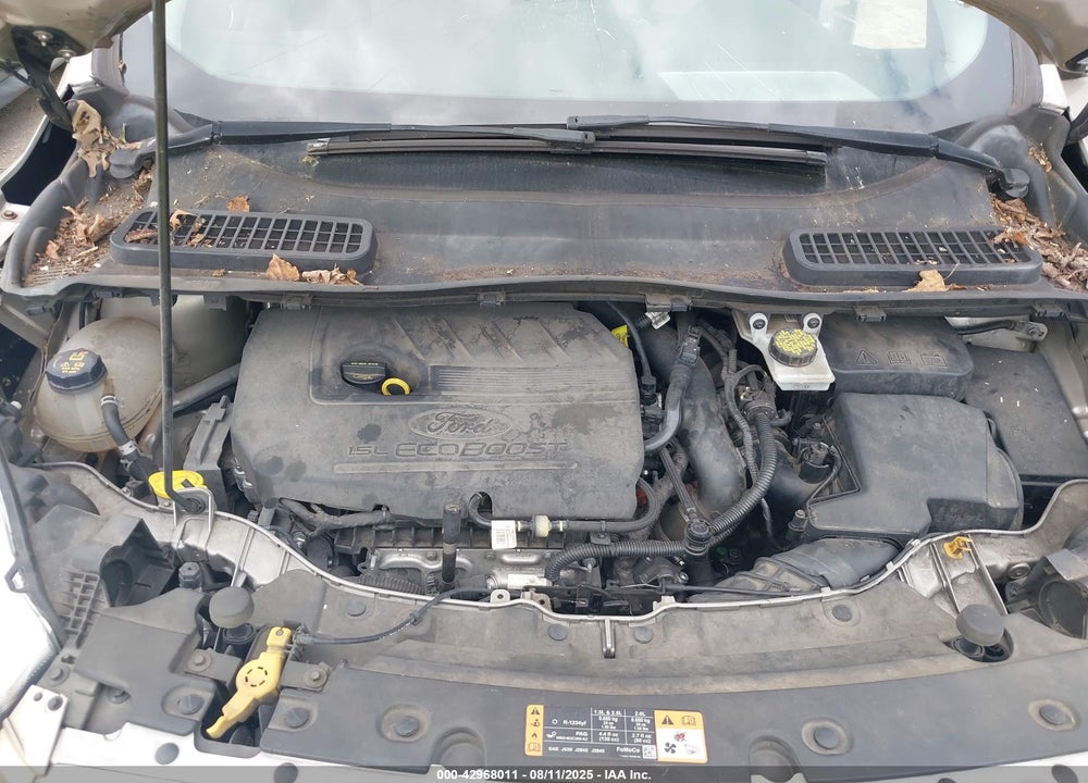2017 FORD ESCAPE VIN: 1FMCU0GD0HUE12669