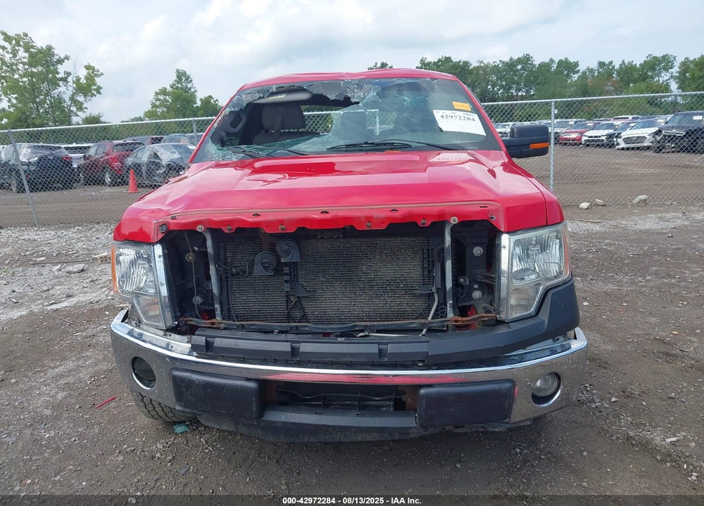 2013 FORD F-150 VIN: 1FTMF1CM0DKF29267