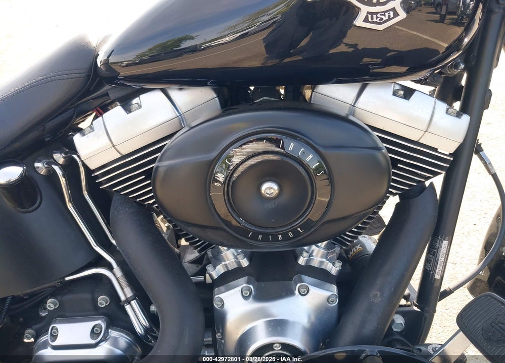 2010 HARLEY-DAVIDSON FLSTFB VIN: 1HD1JN512AB032985