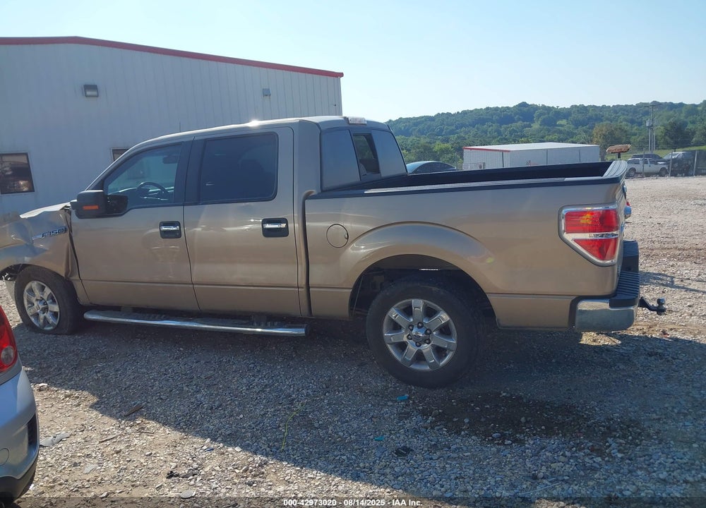 2013 FORD F-150 XLT VIN: 1FTFW1CF7DKF24917