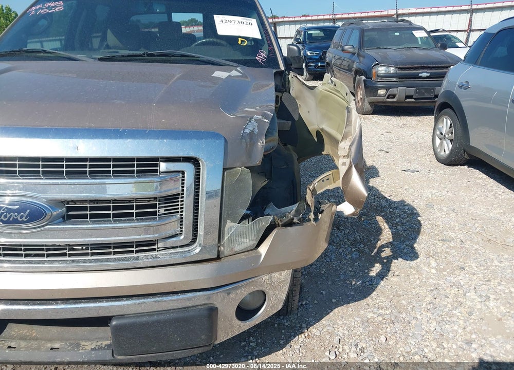 2013 FORD F-150 XLT VIN: 1FTFW1CF7DKF24917