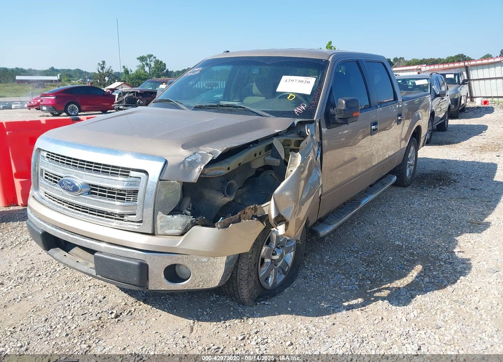 2013 FORD F-150 XLT VIN: 1FTFW1CF7DKF24917