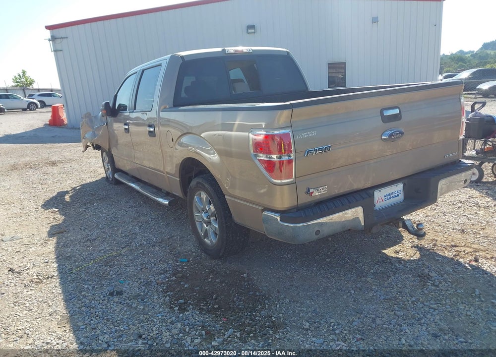 2013 FORD F-150 XLT VIN: 1FTFW1CF7DKF24917