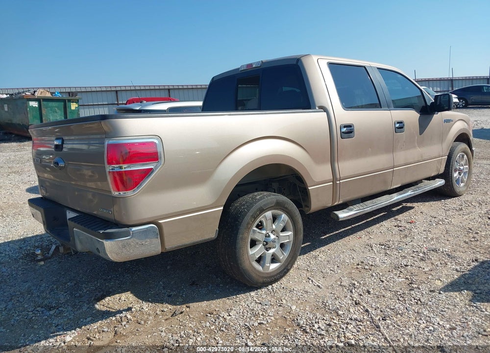 2013 FORD F-150 XLT VIN: 1FTFW1CF7DKF24917