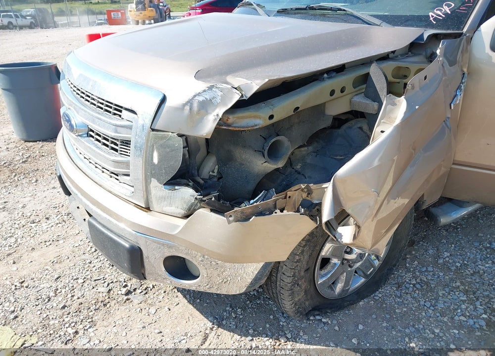 2013 FORD F-150 XLT VIN: 1FTFW1CF7DKF24917