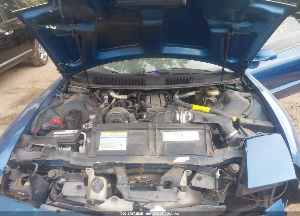 1996 PONTIAC FIREBIRD FORMULA/TRANS AM VIN: 2G2FV22P1T2206176