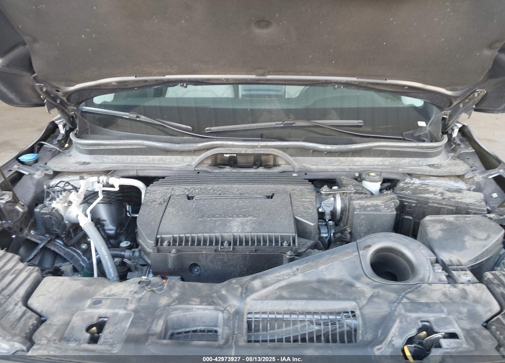 2023 HONDA PILOT VIN: 5FNYG1H2XPB022562