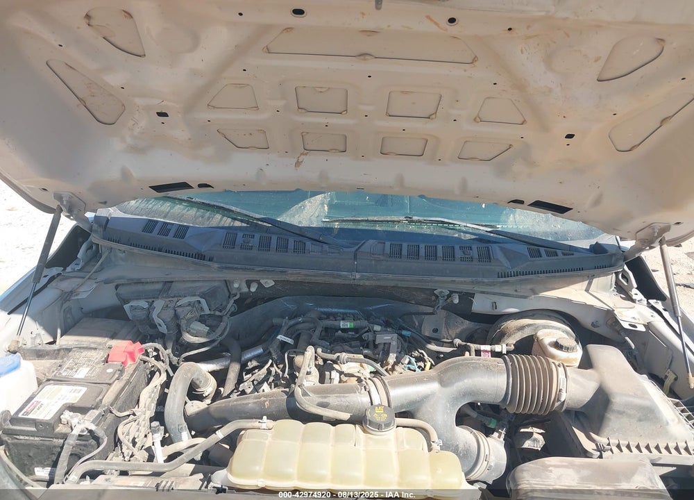 2019 FORD F-150 VIN: 1FTEW1CP9KKE91596