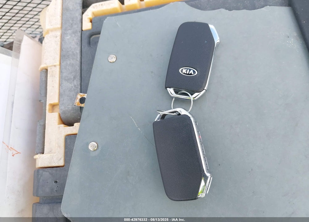 2020 KIA TELLURIDE VIN: 5XYP6DHCXLG068372