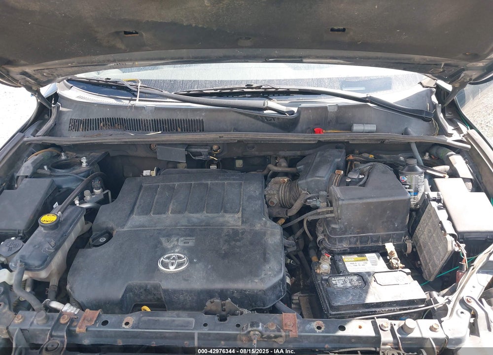 2009 TOYOTA RAV4 VIN: JTMBK31V09D007244