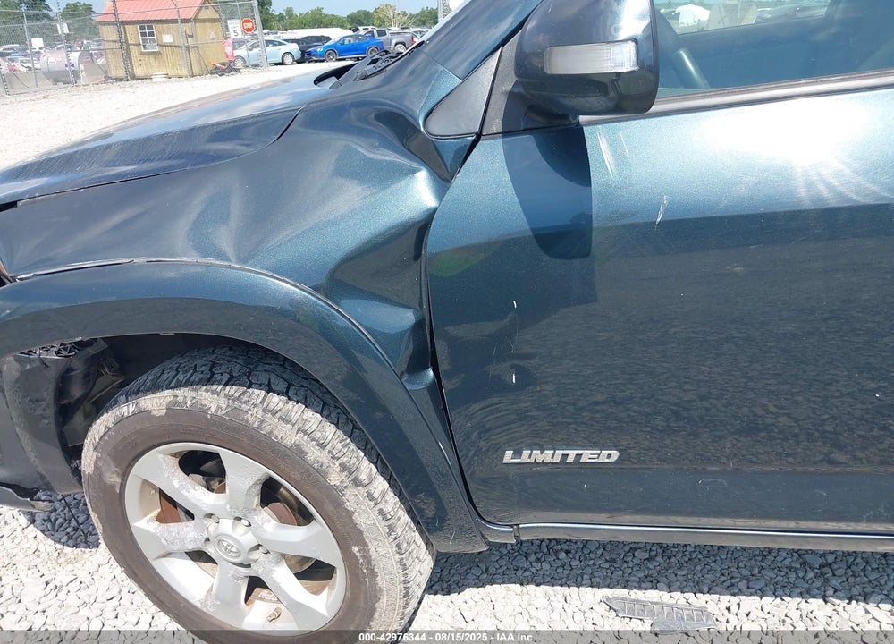 2009 TOYOTA RAV4 VIN: JTMBK31V09D007244