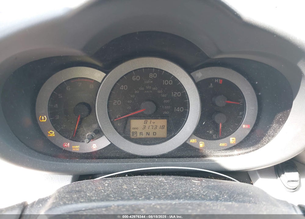 2009 TOYOTA RAV4 VIN: JTMBK31V09D007244