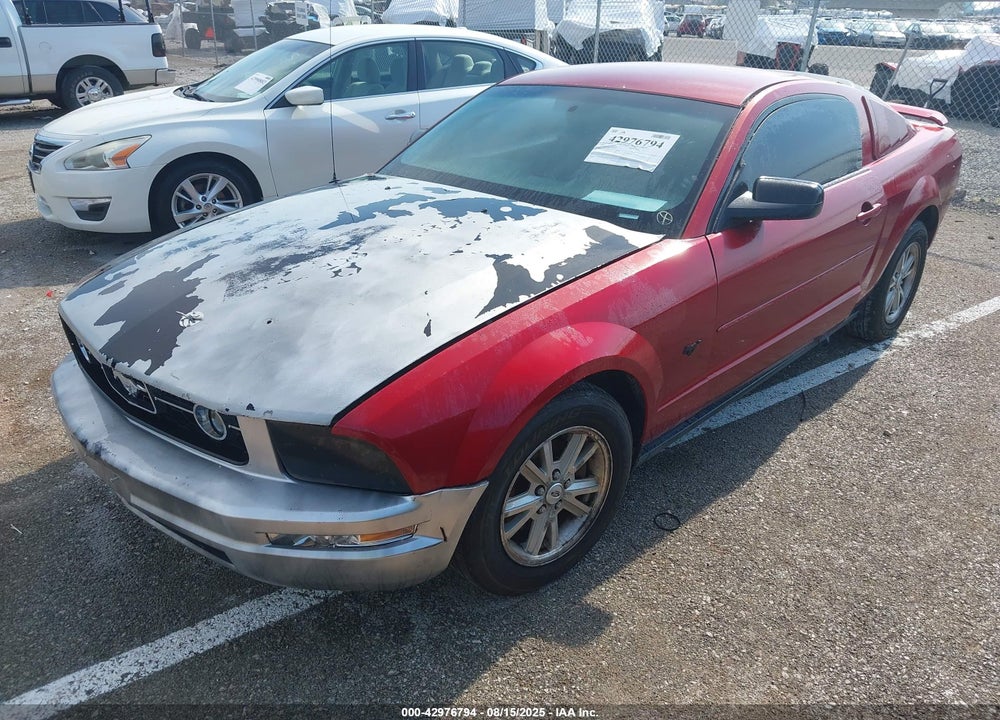 2006 FORD MUSTANG V6 VIN: 1ZVFT80N565196053