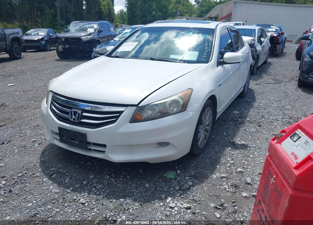 2011 HONDA ACCORD VIN: 1HGCP3F85BA031055