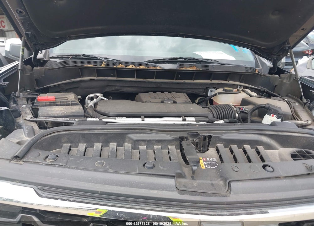 2023 CHEVROLET SILVERADO 1500 VIN: 1GCPDDEK9PZ239251