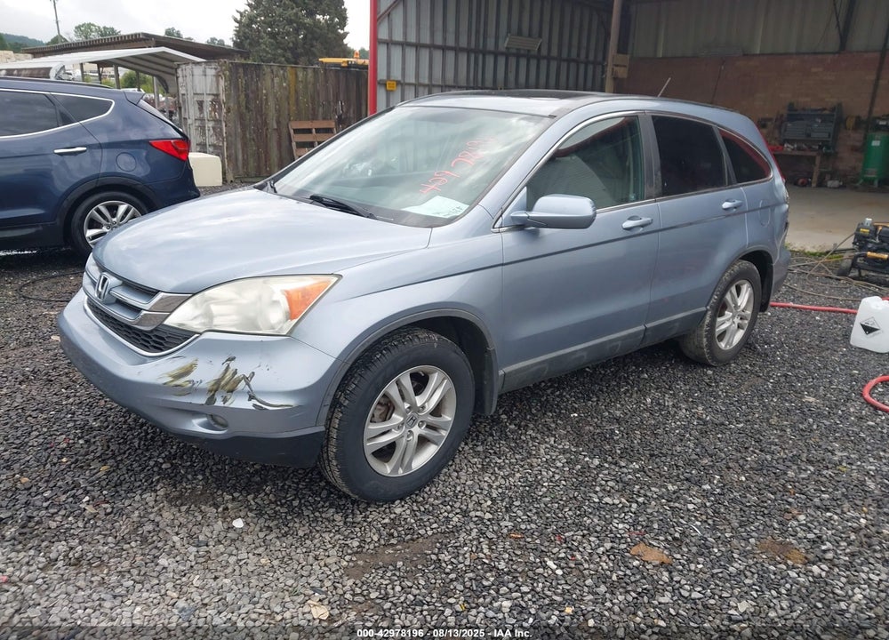2010 HONDA CR-V EX-L VIN: 5J6RE4H71AL004649