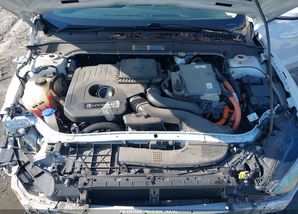 2019 FORD FUSION VIN: 3FA6P0LU6KR137635