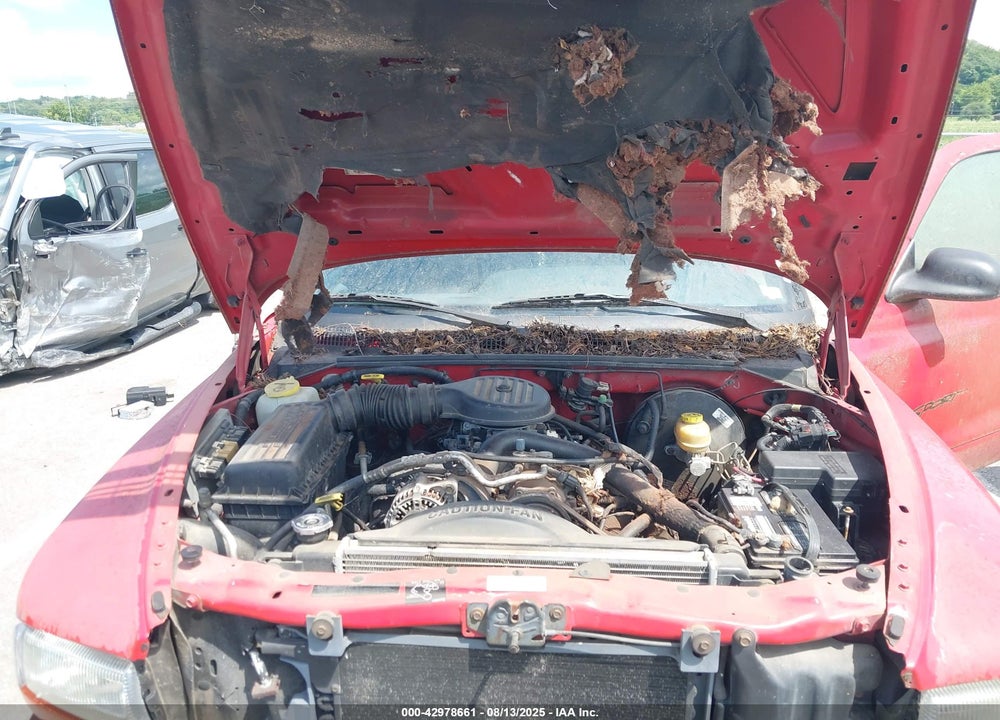 1998 DODGE DAKOTA SLT/SPORT VIN: 1B7GL22YXWS502662