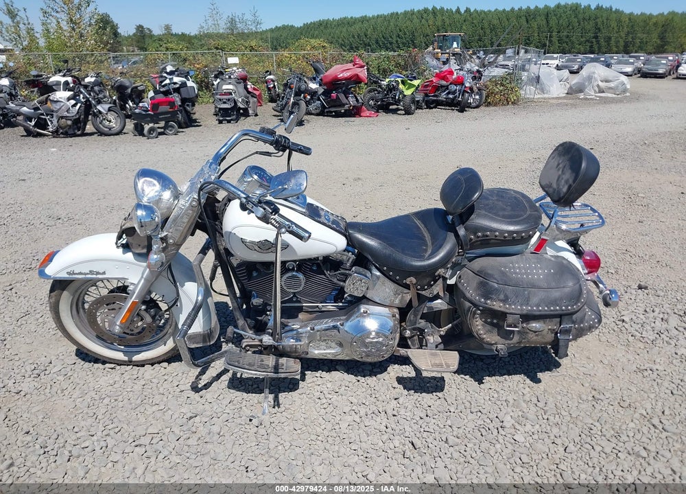 2003 HARLEY-DAVIDSON FLSTCI VIN: 1HD1BWB1X3Y105544