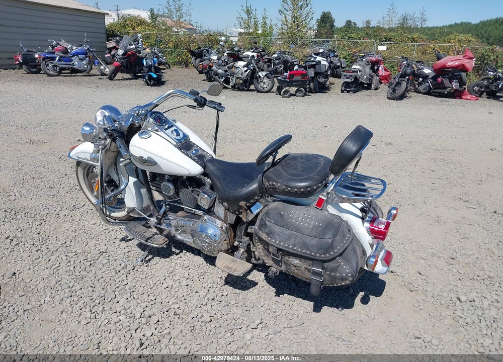 2003 HARLEY-DAVIDSON FLSTCI VIN: 1HD1BWB1X3Y105544