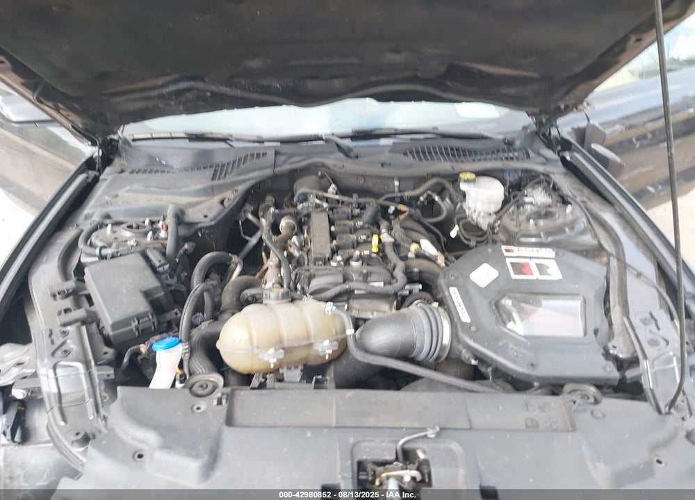 2022 FORD MUSTANG VIN: 1FA6P8TH0N5123450