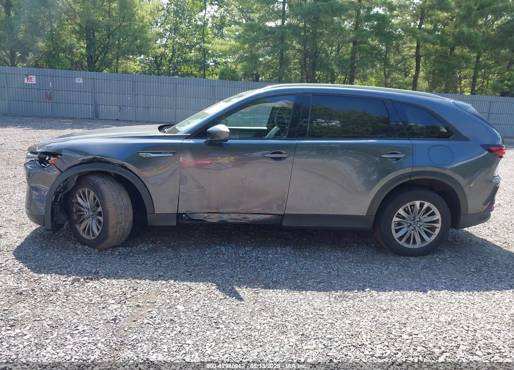 2024 MAZDA CX-90 VIN: JM3KKBHA5R1122959