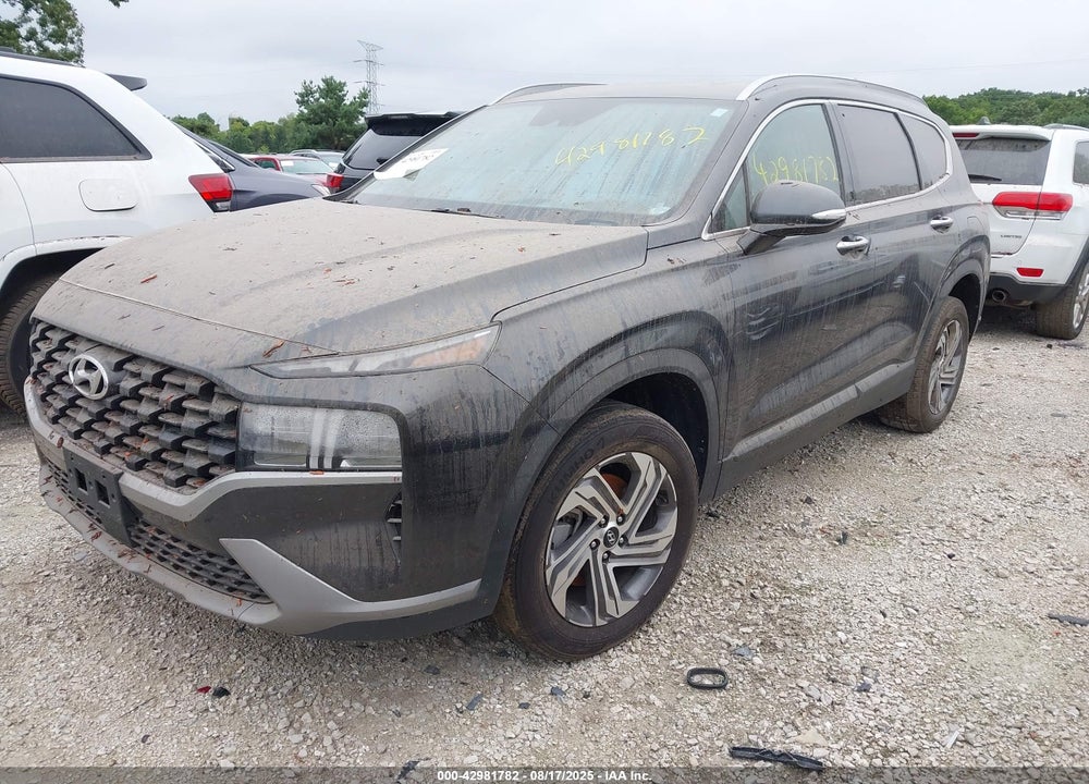 2023 HYUNDAI SANTA FE VIN: 5NMS2DAJ3PH611443