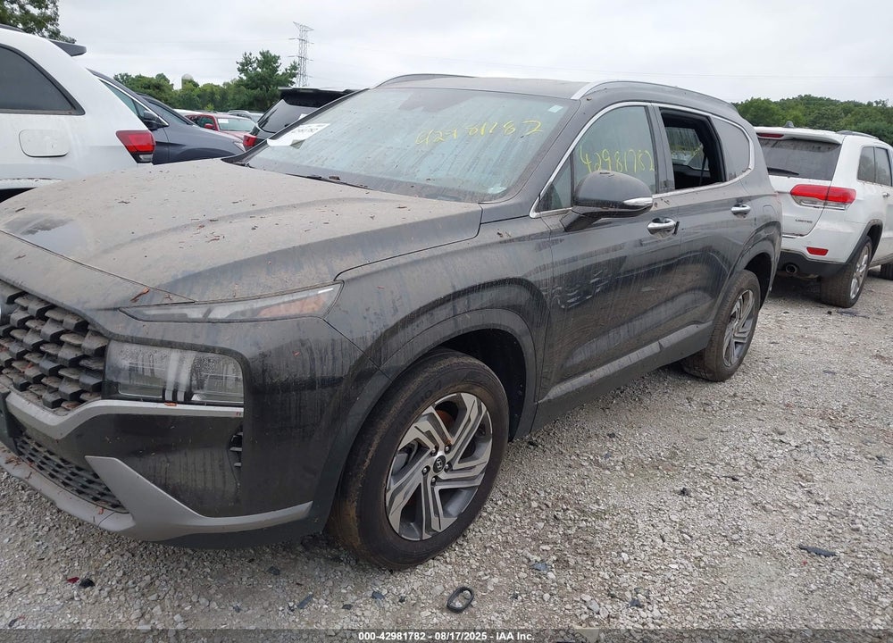 2023 HYUNDAI SANTA FE VIN: 5NMS2DAJ3PH611443