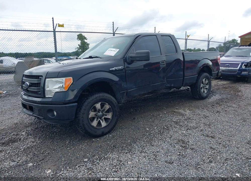 2013 FORD F-150 STX VIN: 1FTFX1EF2DFB08194
