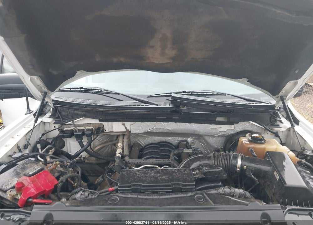 2013 FORD F-150 VIN: 1FTFX1CF1DFC06362