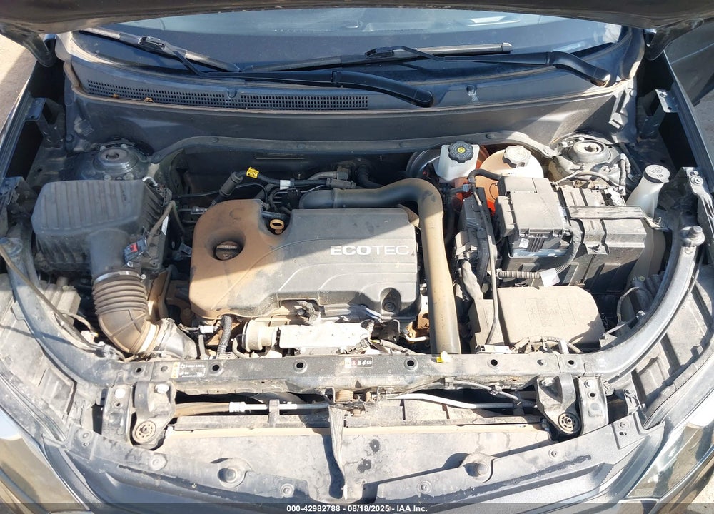 2019 CHEVROLET EQUINOX VIN: 2GNAXJEV3K6242809