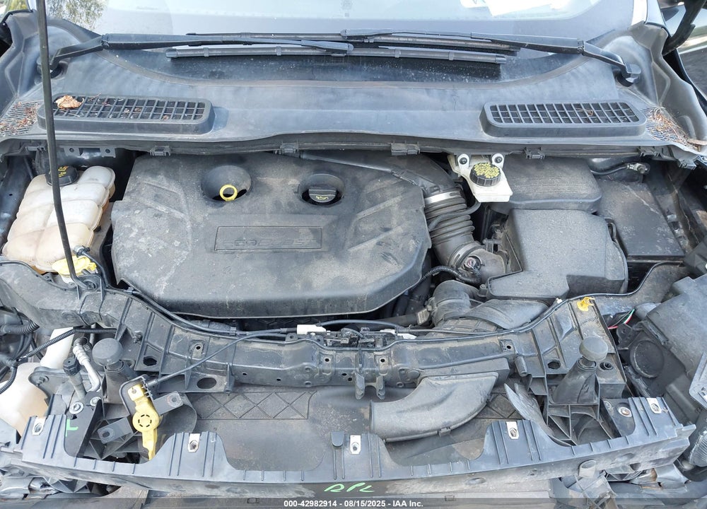 2014 FORD ESCAPE VIN: 1FMCU9G99EUD55562